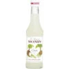 Monin Sirup Cocos 250ML -Rabatt Lebensmittel Geschäft monin sirup kokosnuss 025l